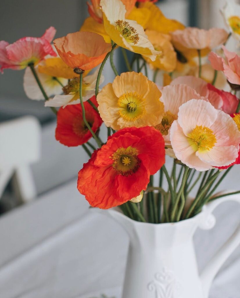 Money-Making Hobbies for Stay-at-Home Moms