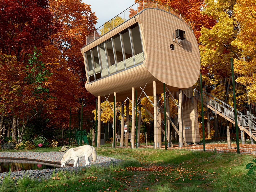 10 Incredible Treehouse Hotels in Germany - Das Baumhaushotel