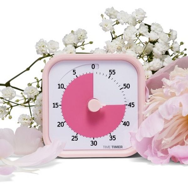 60 minute visual timer